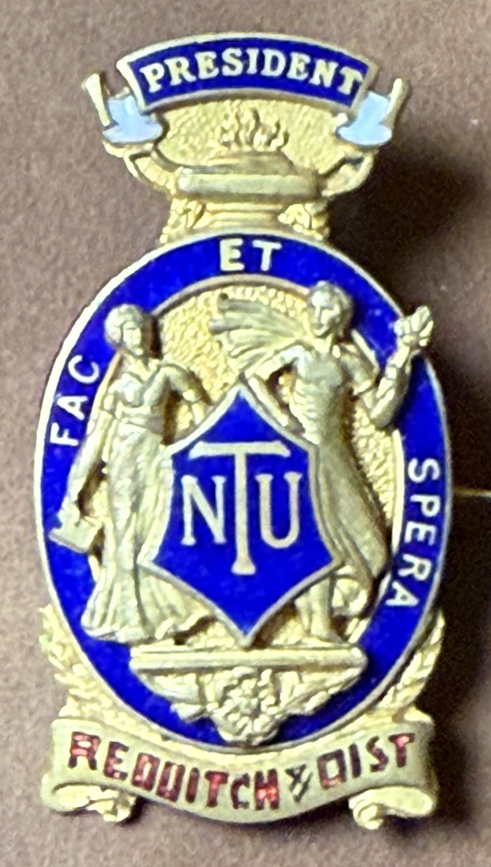 National Union of Teachers: President - Newcastle-under-Lyme