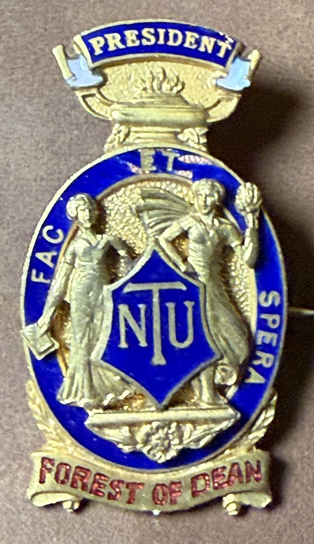 Pokemon Pokémon Center: Mewtwo With Rare Candy Pokémon Held Item Pin