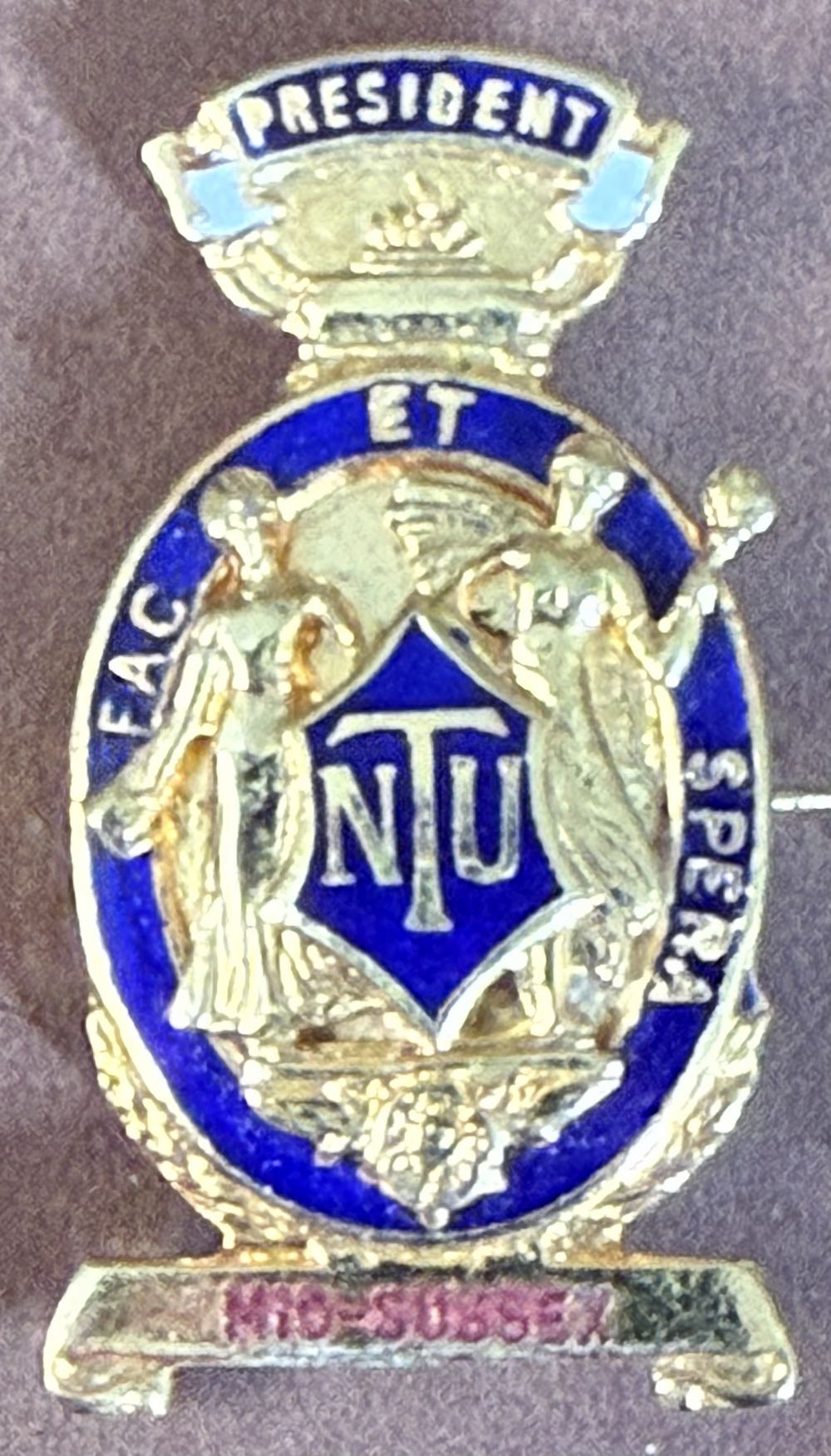 Royal Navy Cheif Petty Officer Badge 