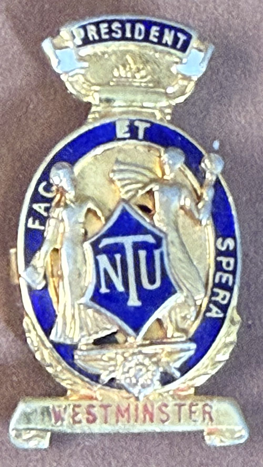 Women Public Health Officers’ Association