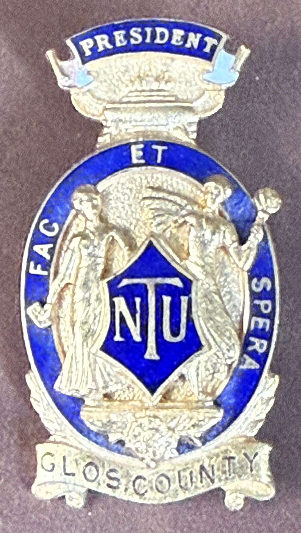 Associated Society of Locomotive Engineers and Firemen - Stafford 1982