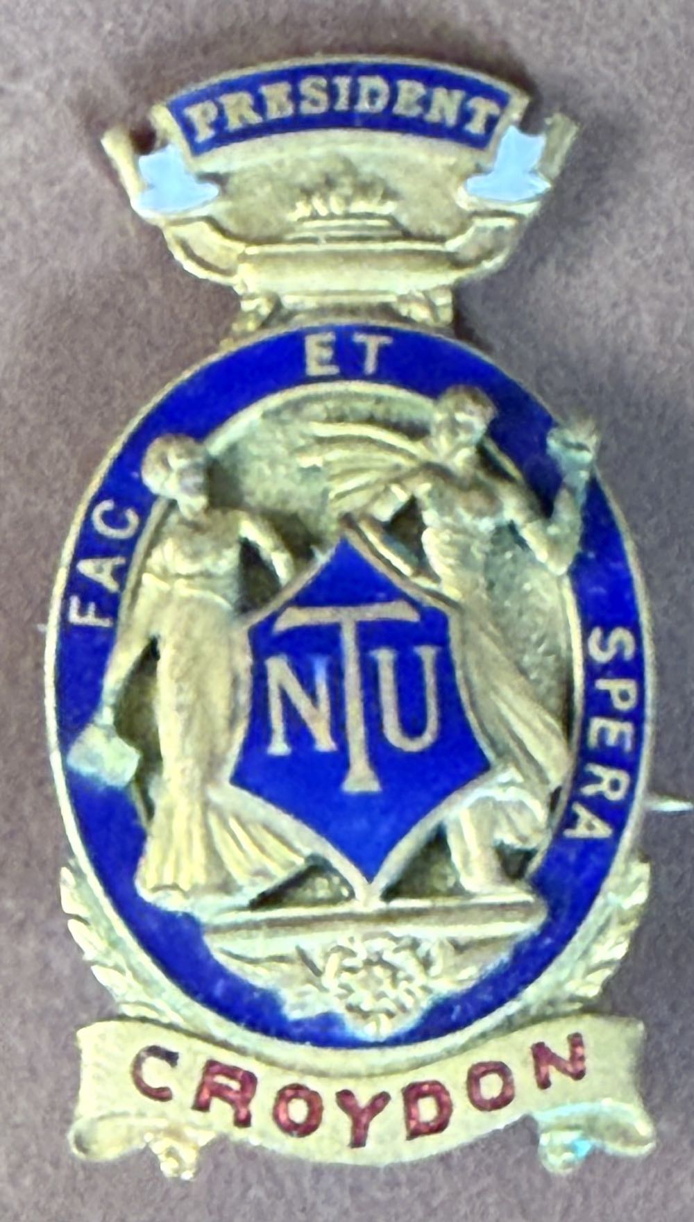 National Union of Teachers: President - Neath Borough