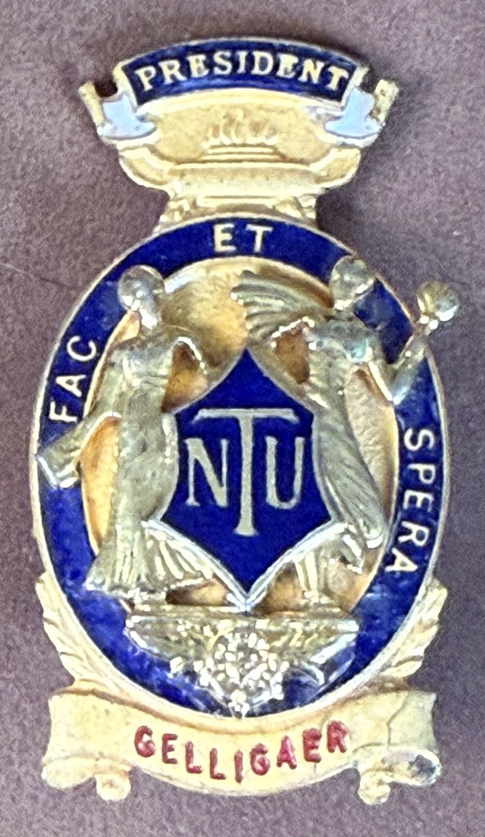 National Union of Teachers: President - South Gloucestershire