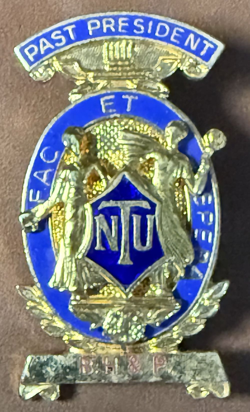 Shalltear Bloodfallen