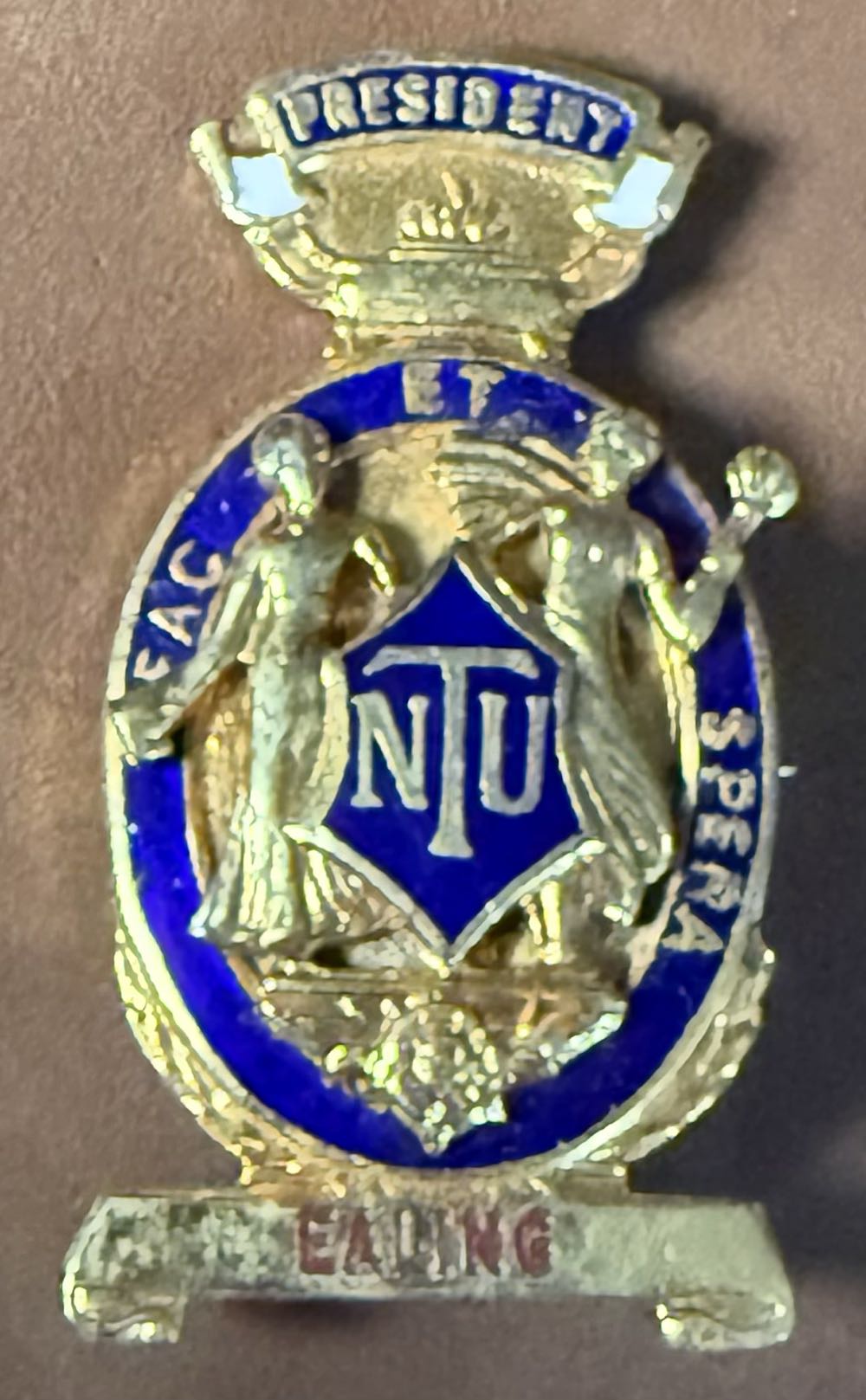 Stainglass Drakelings (Shinny)