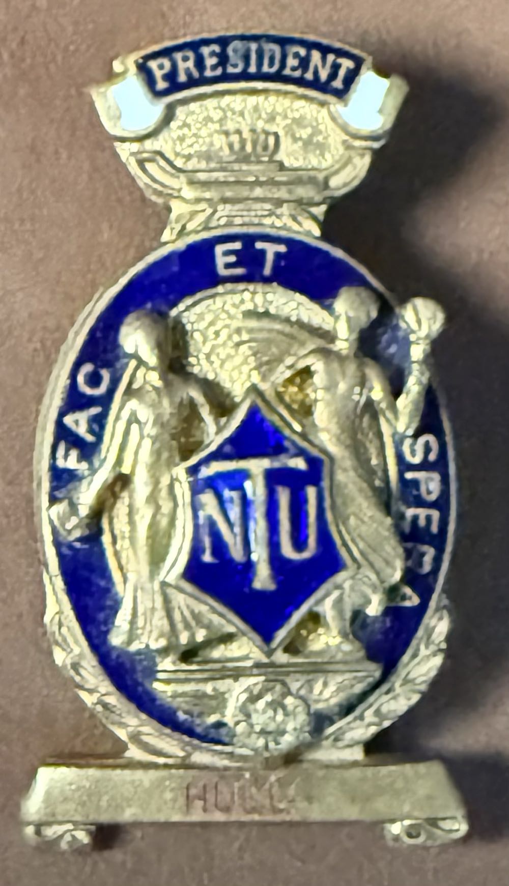 Stainglass Drakelings