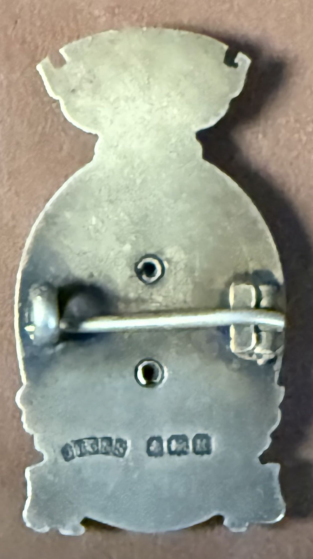 National Union of Teachers: President - Derbyshire (HMS)  pin collectible - Main Image 2