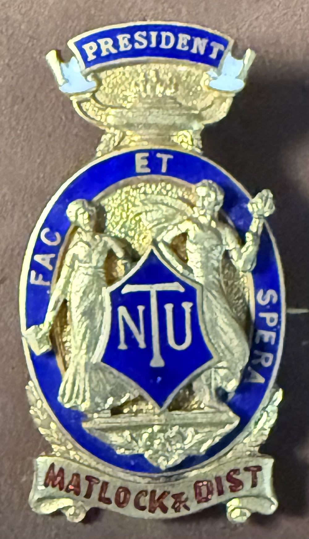 National Union of Teachers: Treasurer - Croydon