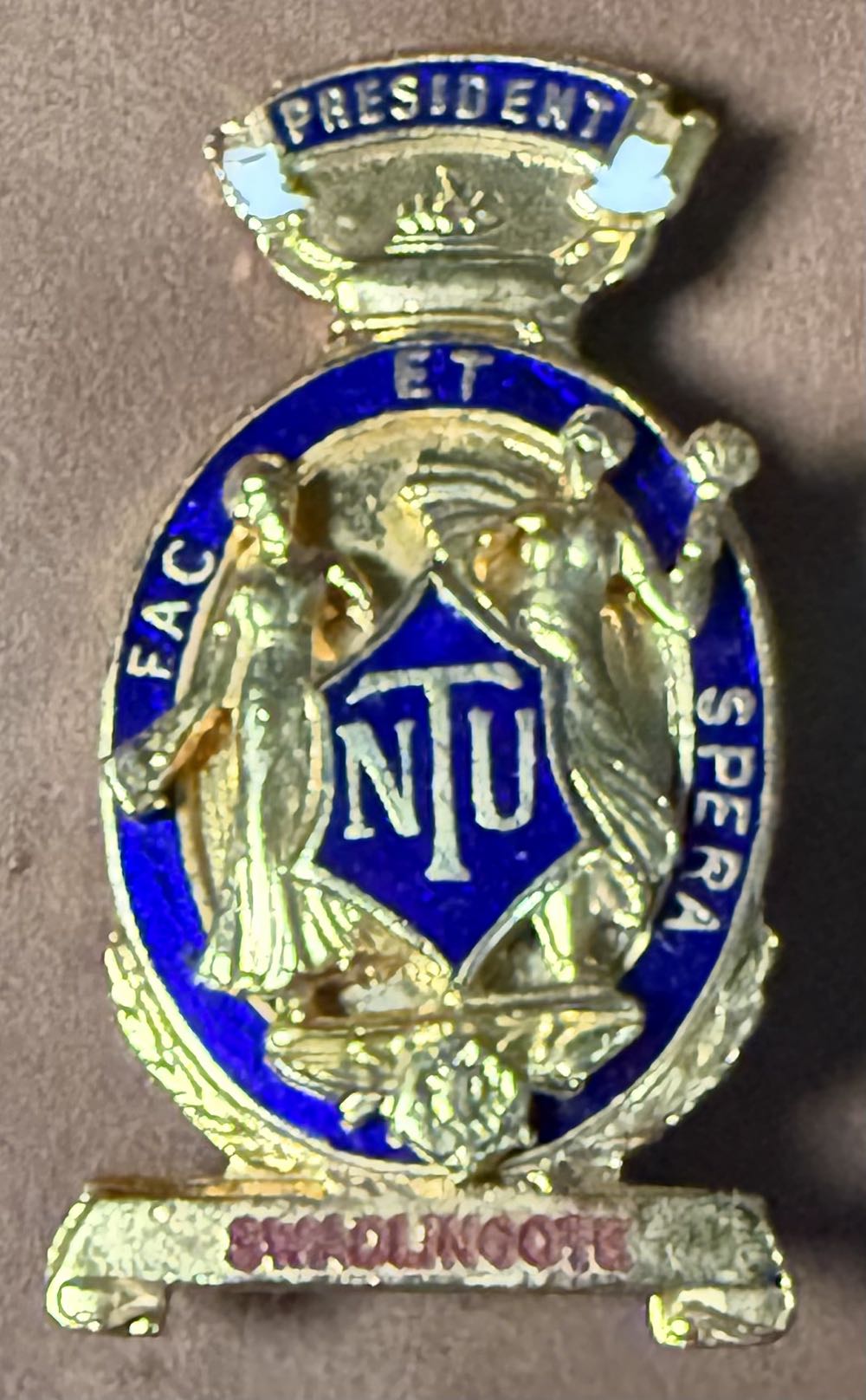 Associated Society of Locomotive Engineers and Firemen/National Union of Mineworkers/ National Union of Rail, Maritime and Transport Workers - Littleton Bedford 1985-2010