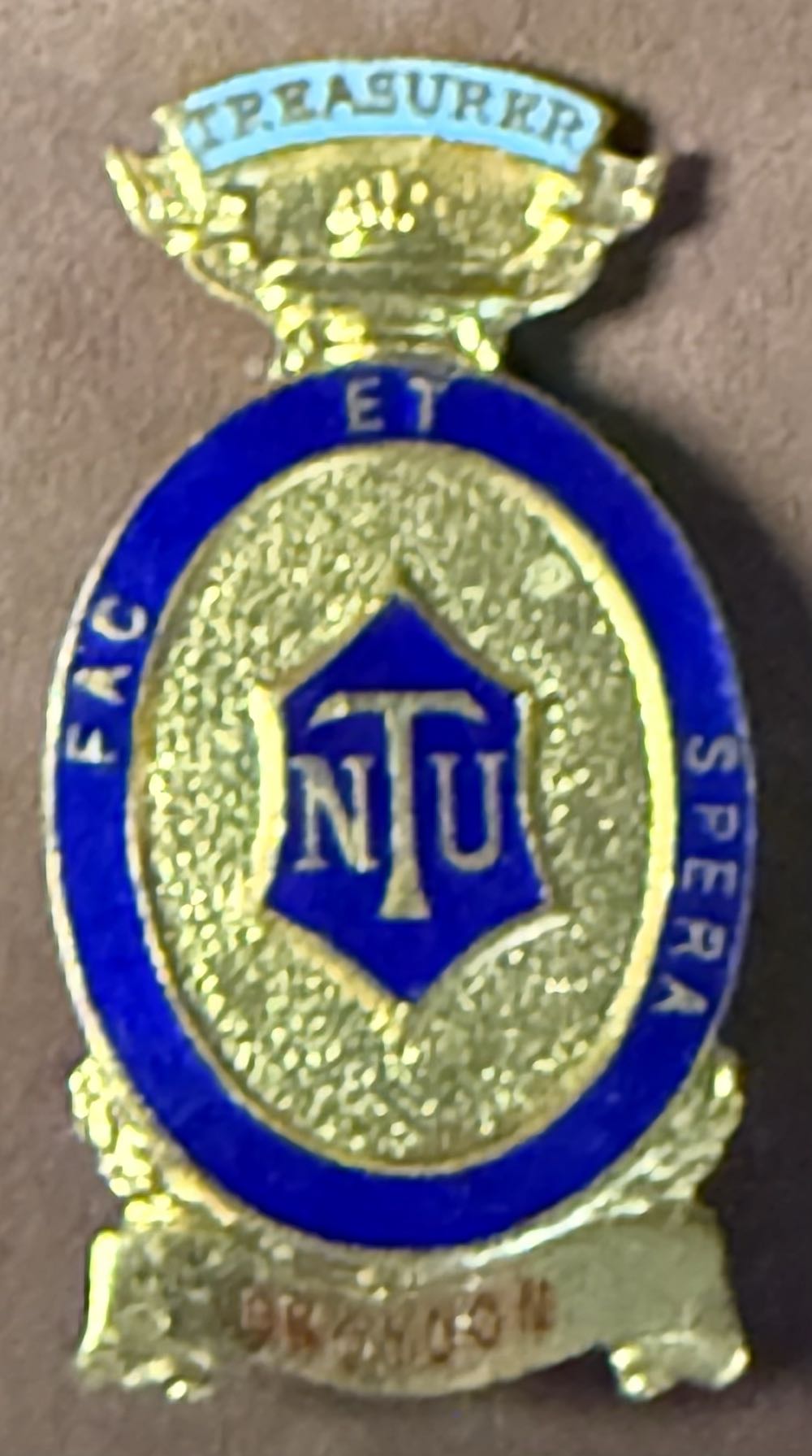 Palm Size Fizz Enamel Pin *LIMITED STOCK*