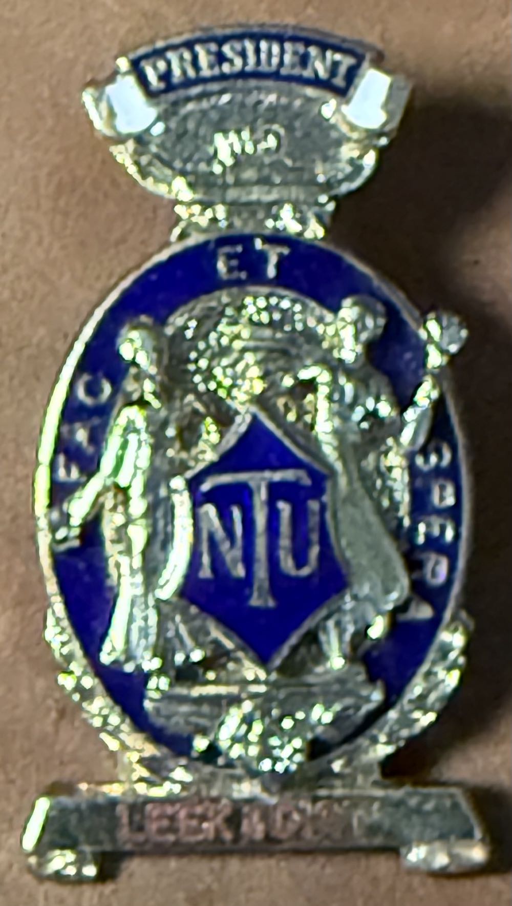 Enchanted Witch (Orange Outfit Momo)