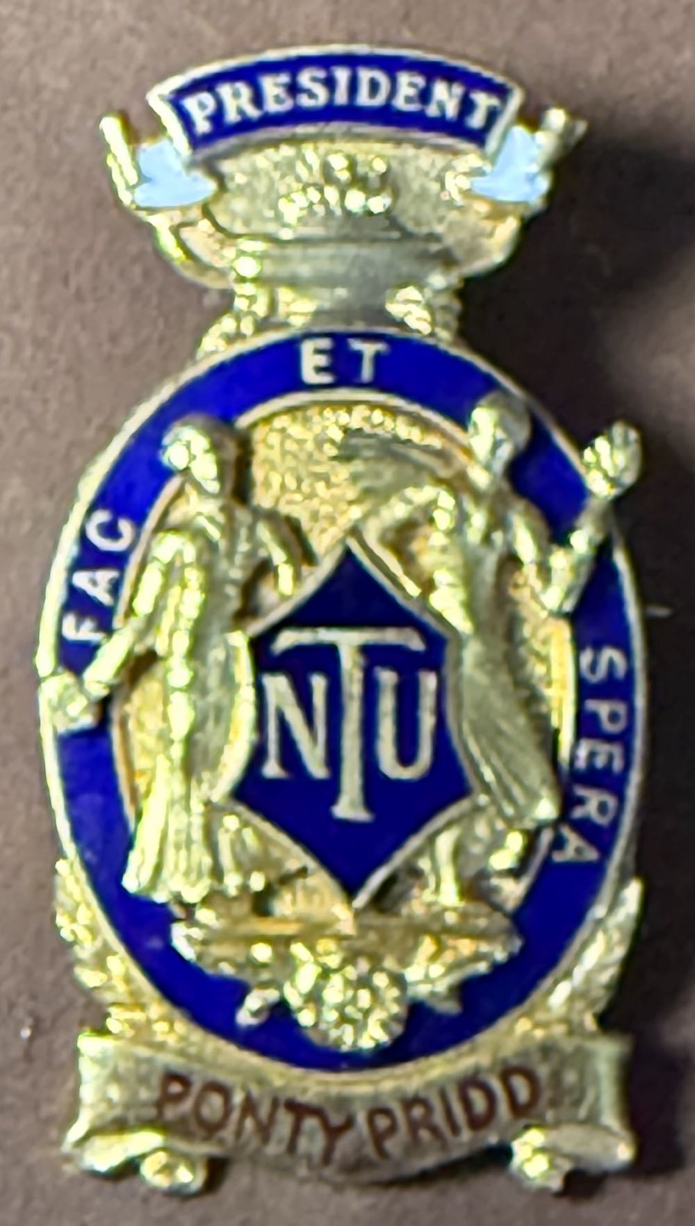 National Union of Teachers: President - Shrewsbury and District