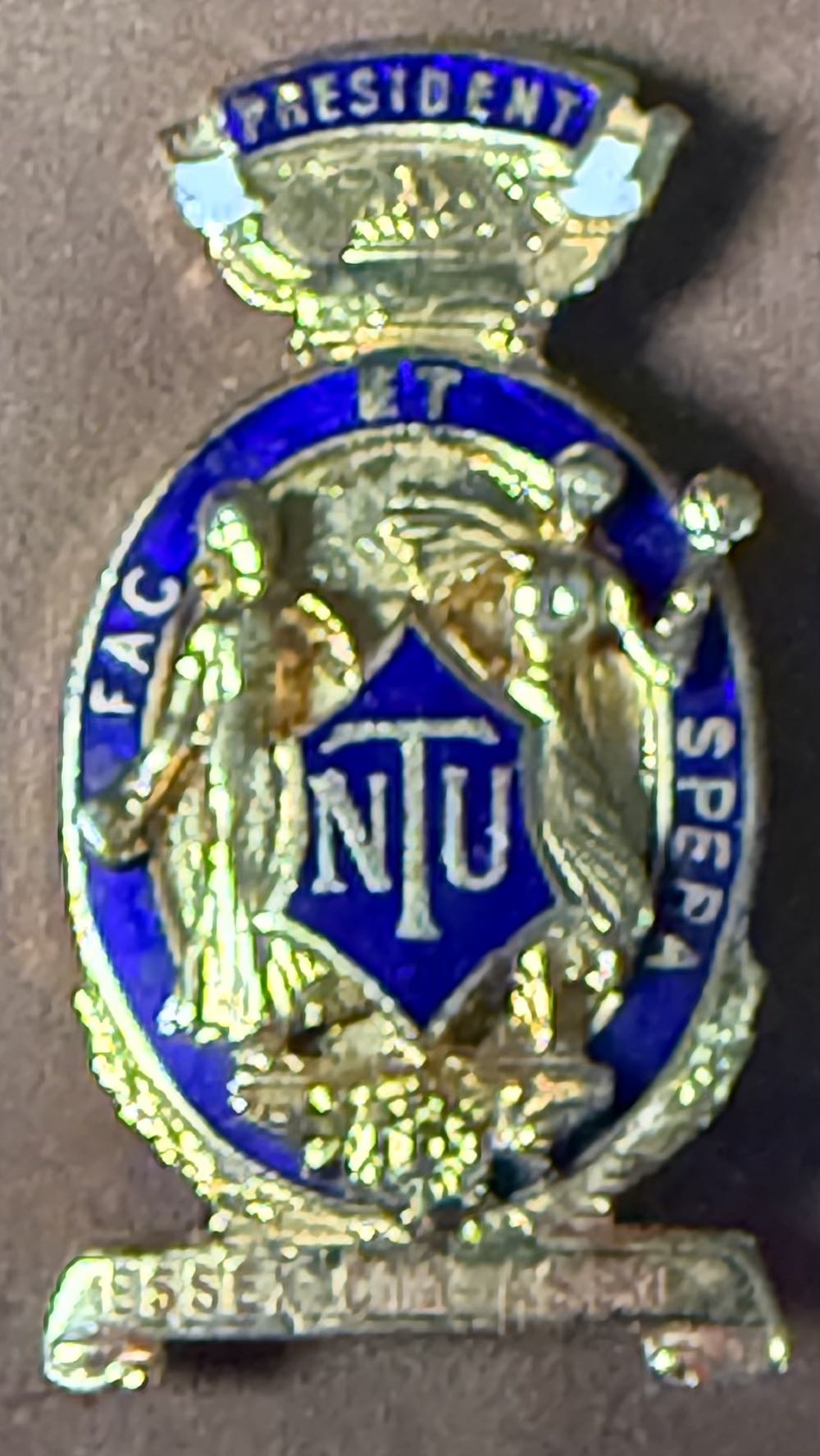 National Union of Teachers: President - Rushall and District