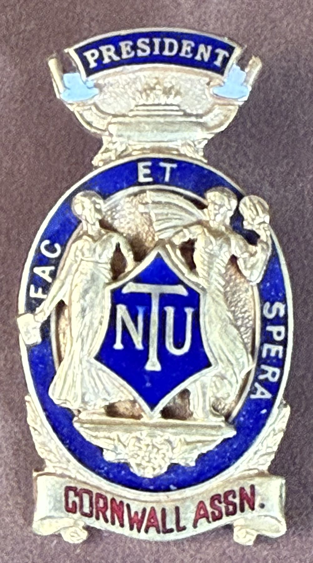 National Union of Teachers: President - Plymouth Association