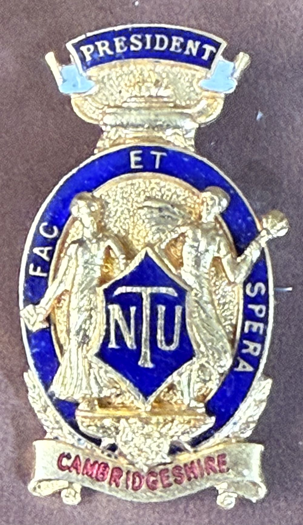 Gerudo Hospitality Royal Knight