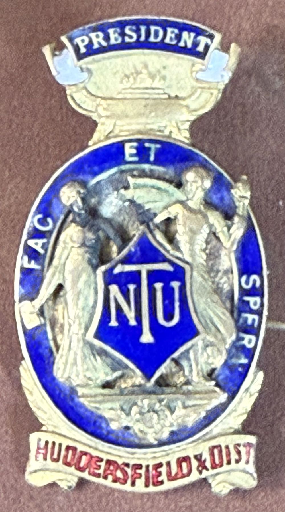 Academy Museum Of Motion Pictures Logo Oscar