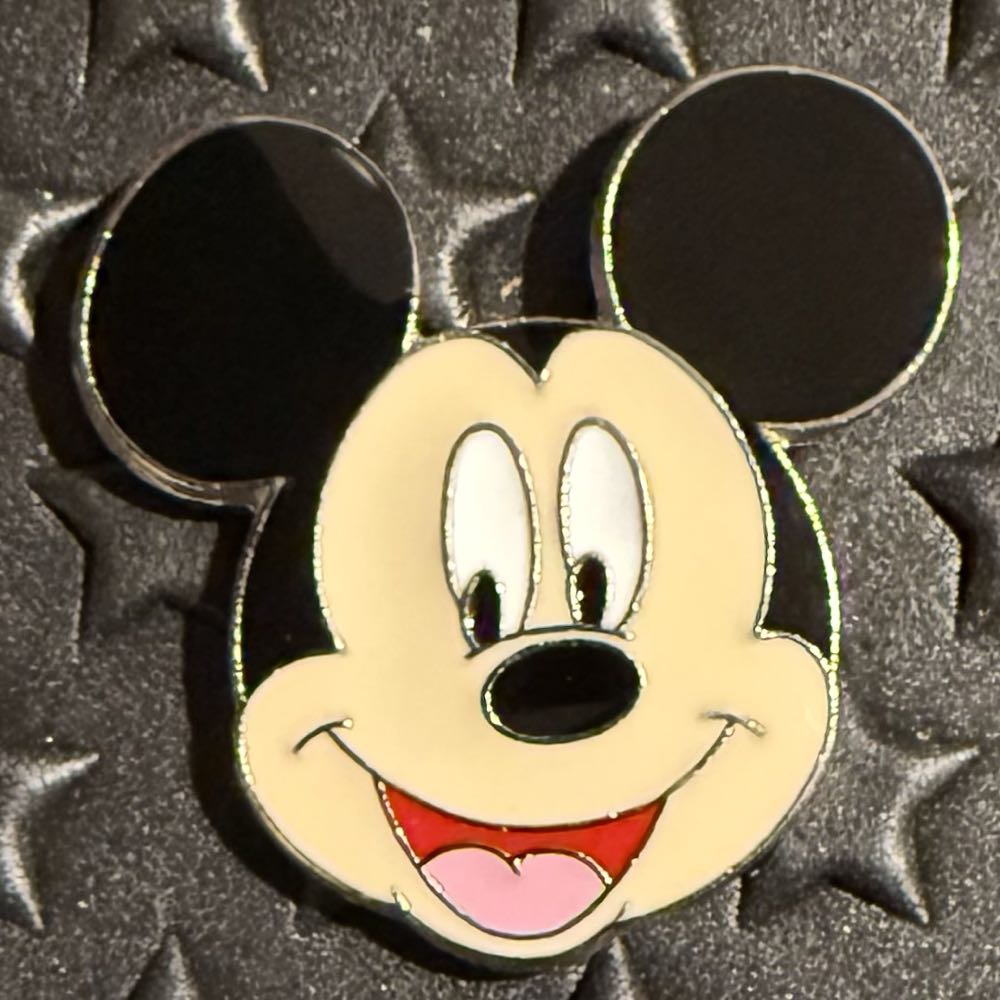 Mouse Black White Silhouette Magic Kingdom Castle Mickey Mouse Magic Disney Walt Wdw & Cinderella’s Profile