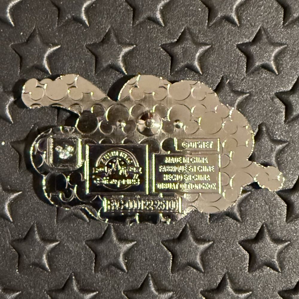 Magic Carpets - Disney Parks pin collectible - Main Image 2