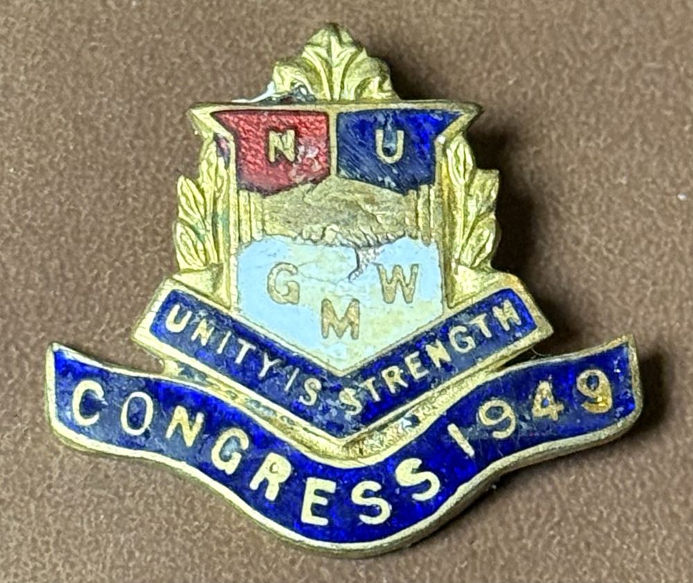 Thorpe Park Colossus Stone Face Pin Badge