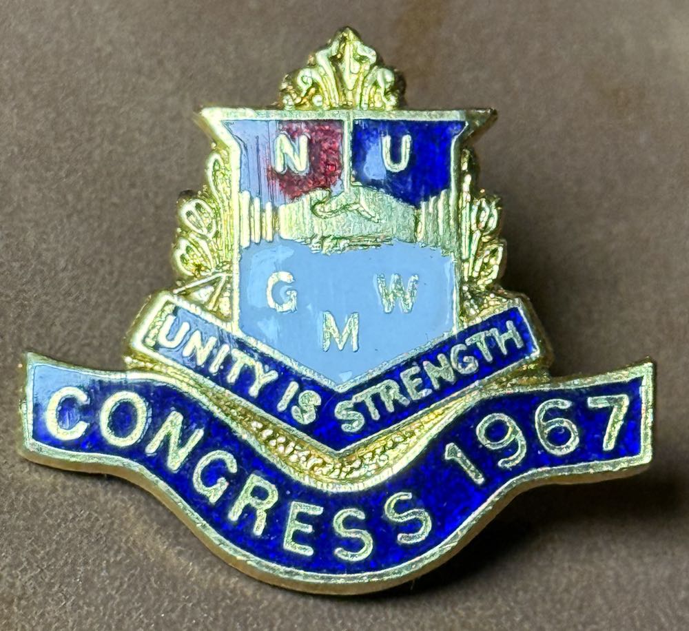 Did Somebody Say Mcdonalds Pin