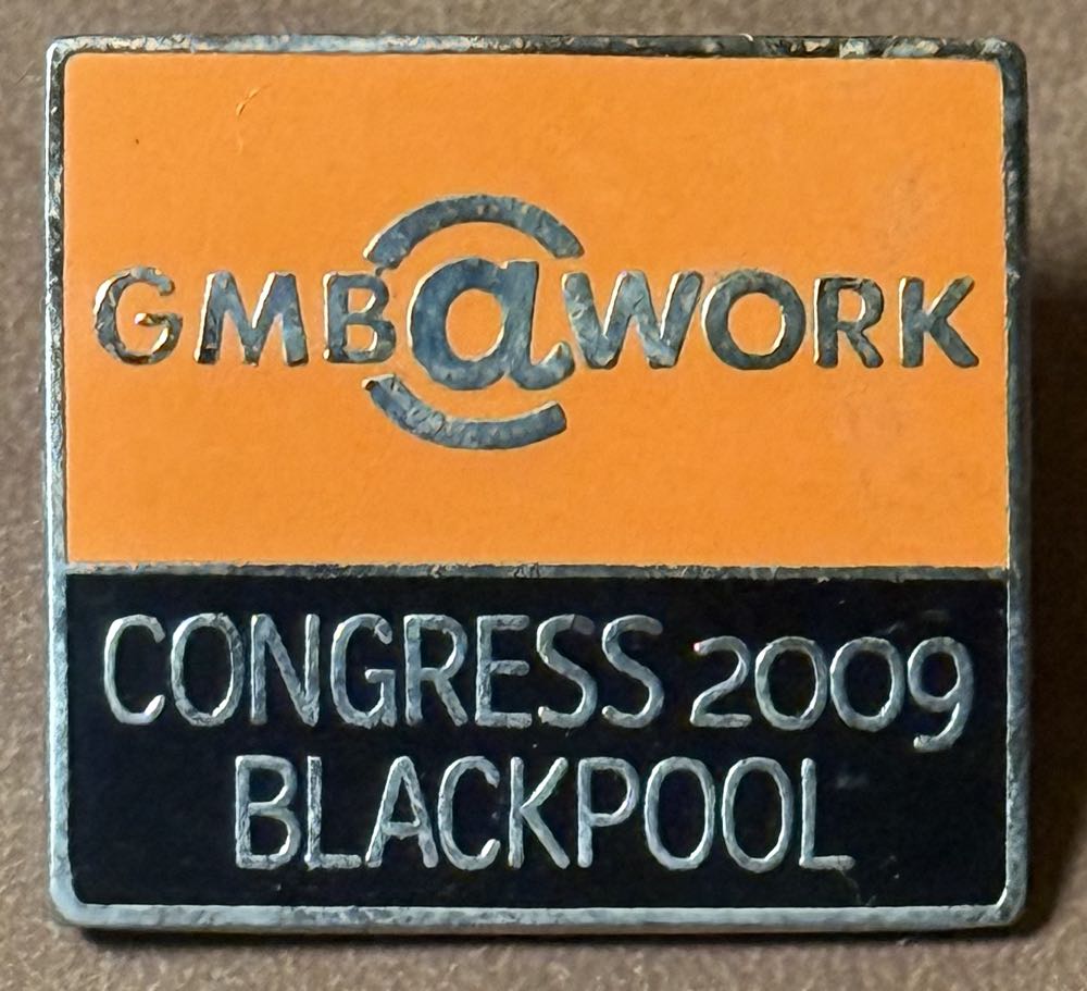 Pokémon Center: Typhlosion Pokémon Pin