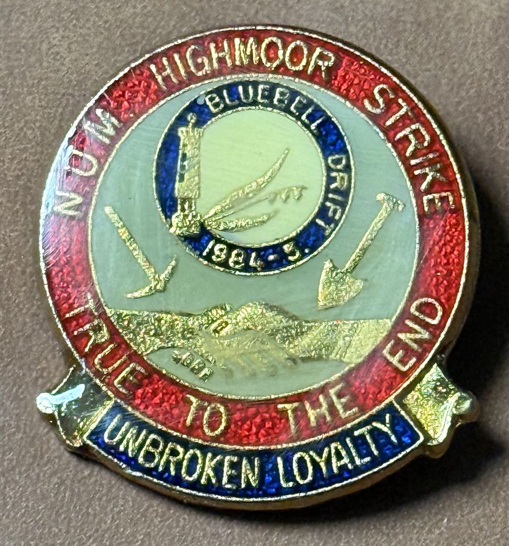 Ronald Mcdonald House Pin