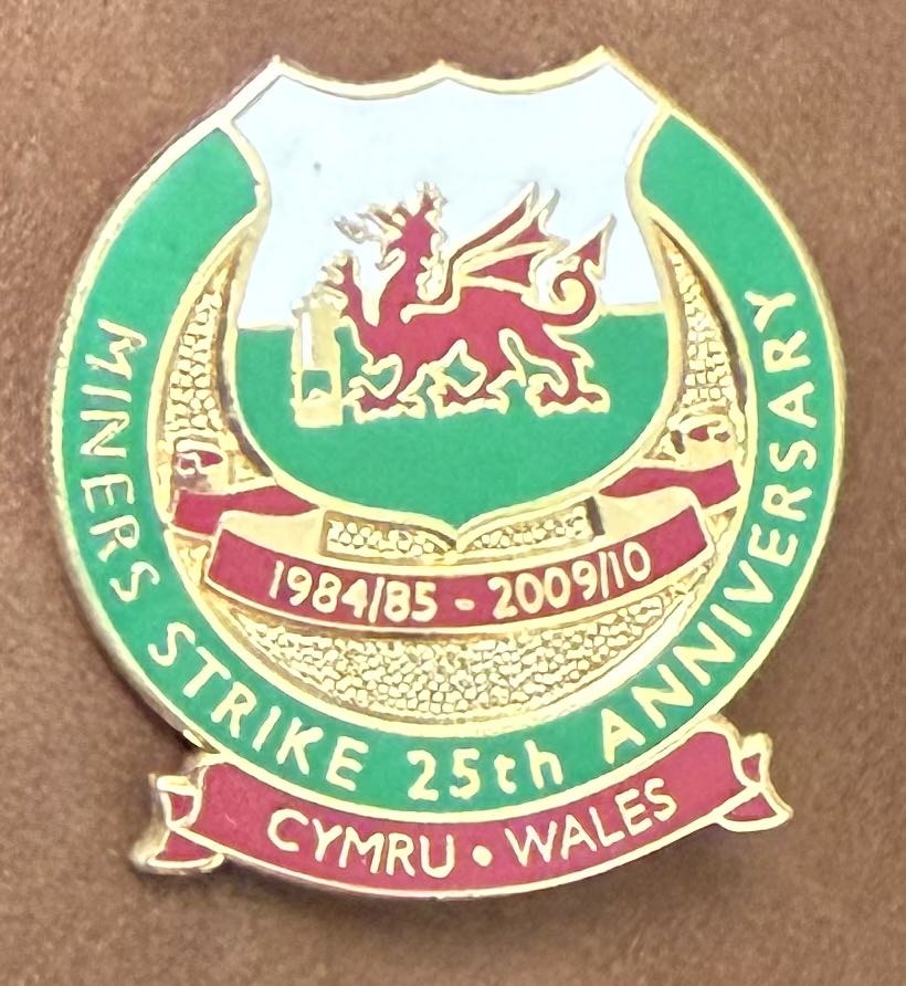 Camp Mcdonalds 1994 Pin