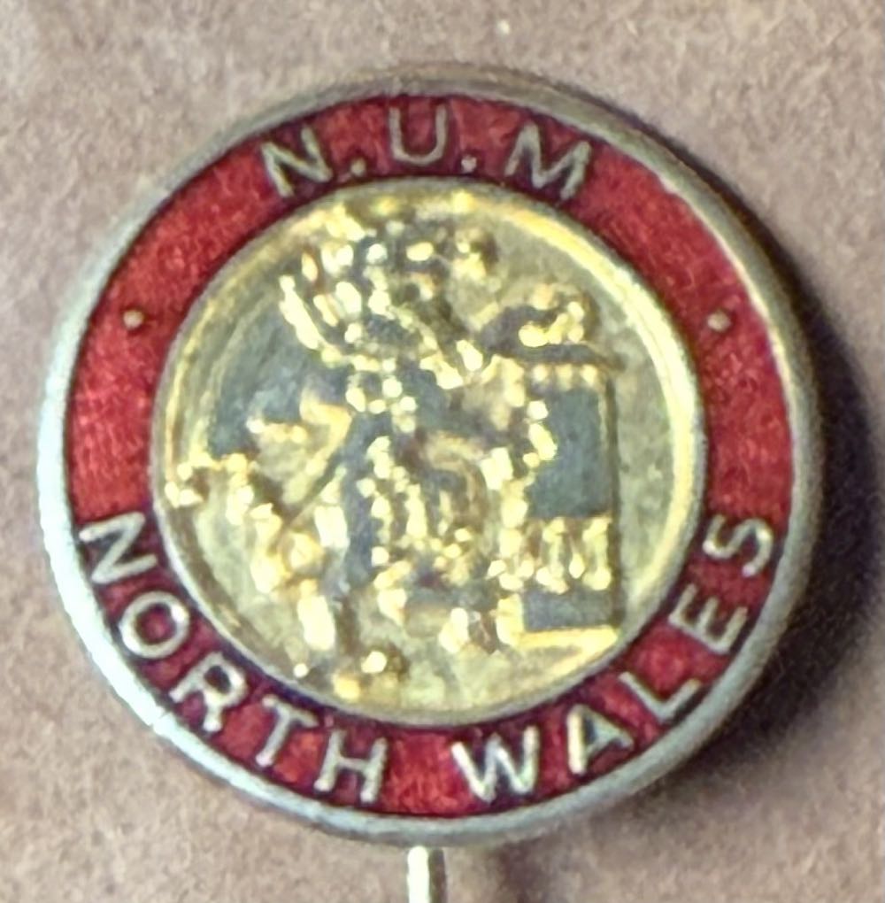 National Union of Rail, Maritime and Transport Workers - Professional Busworker