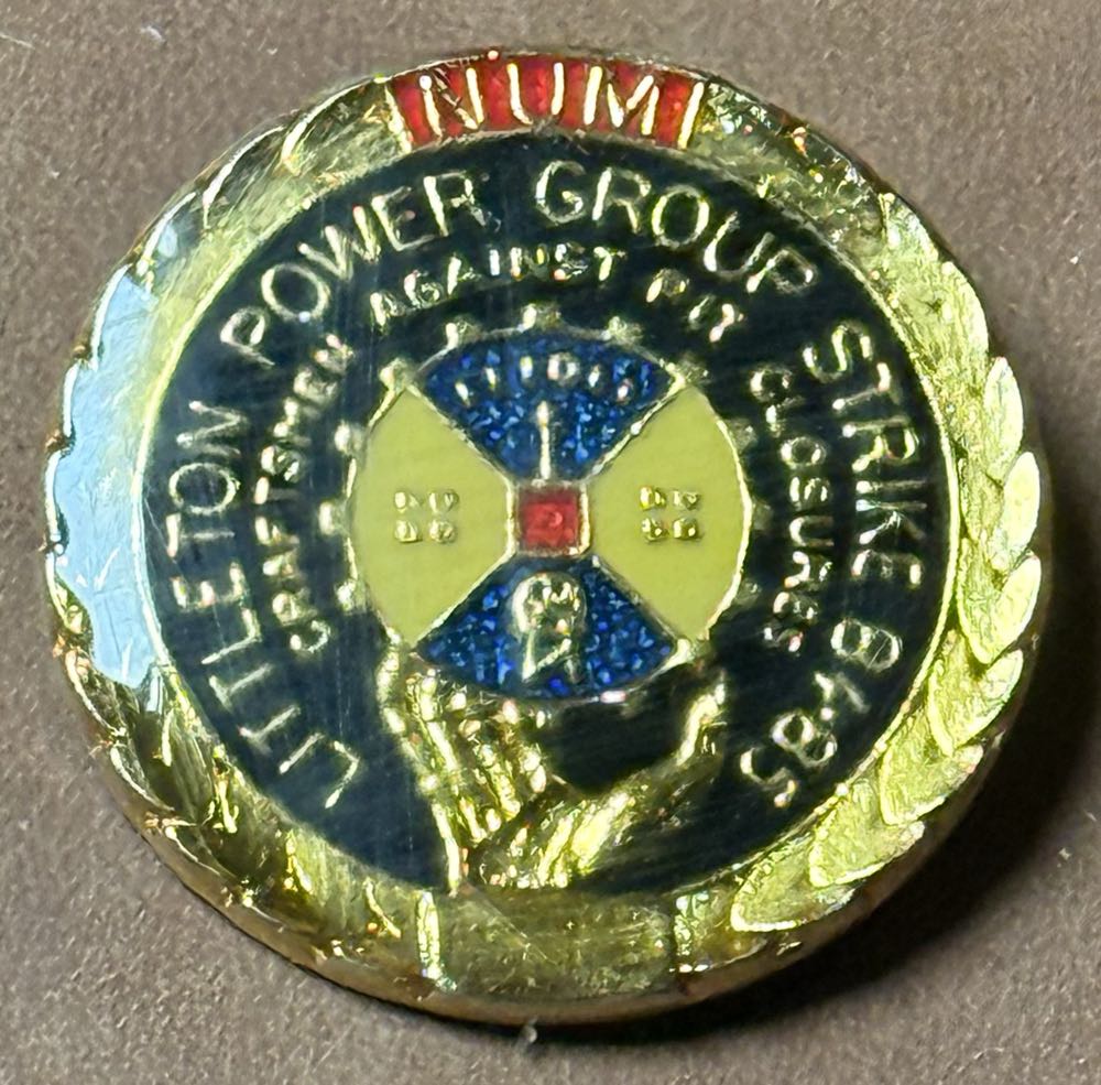 3 Little Pigs Mystery