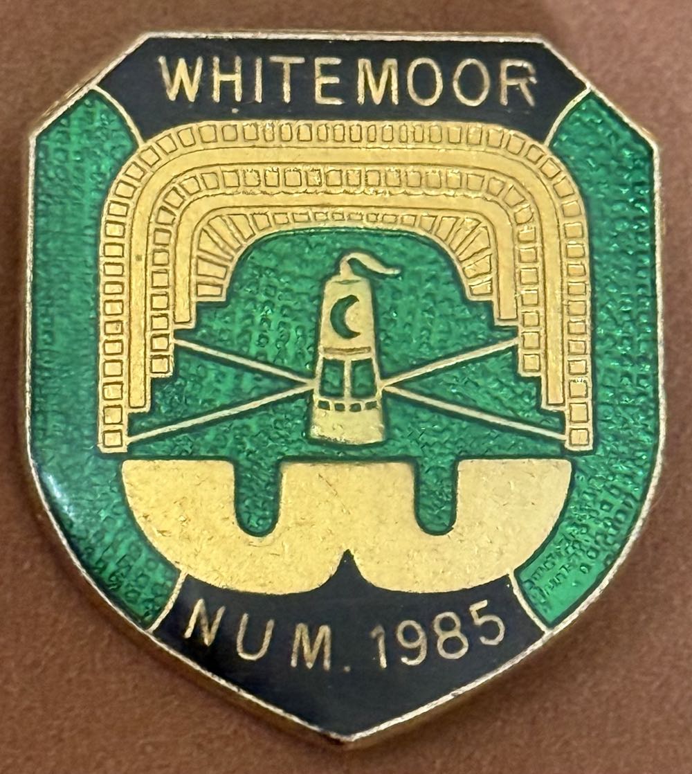 Toybox, Jiminy, Cricket