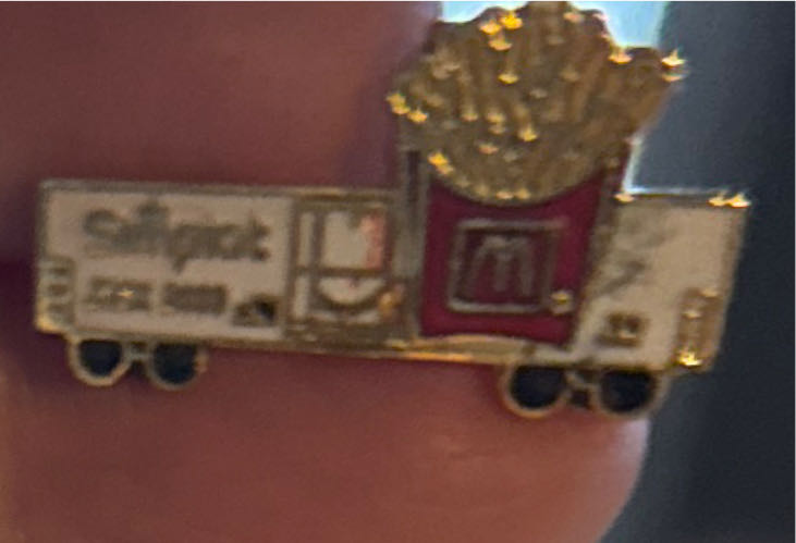 Service Excellence Pin