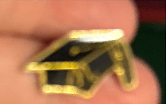 Minnie Dressed as Mrs Claus 2025