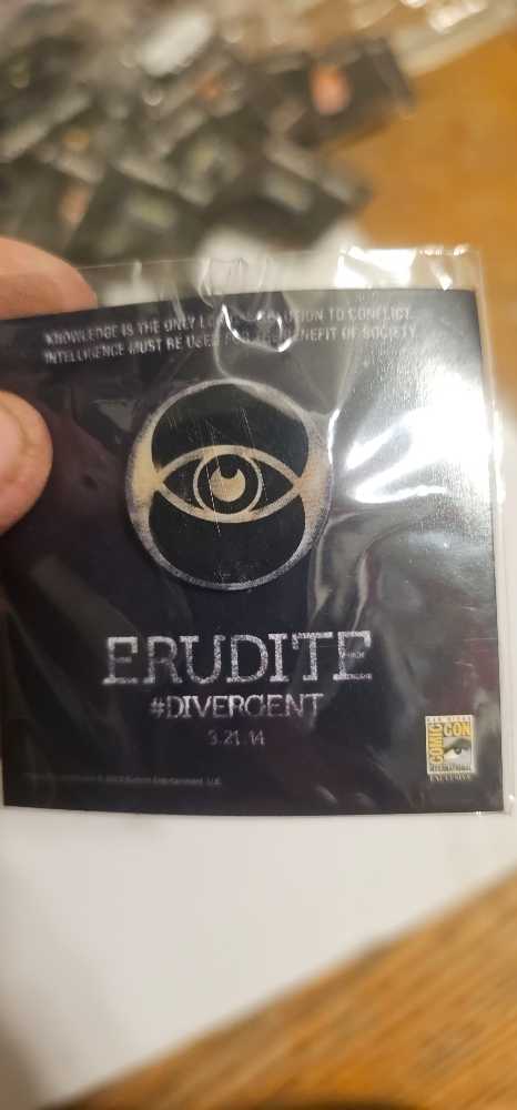 Red Cross Volunteer Pin