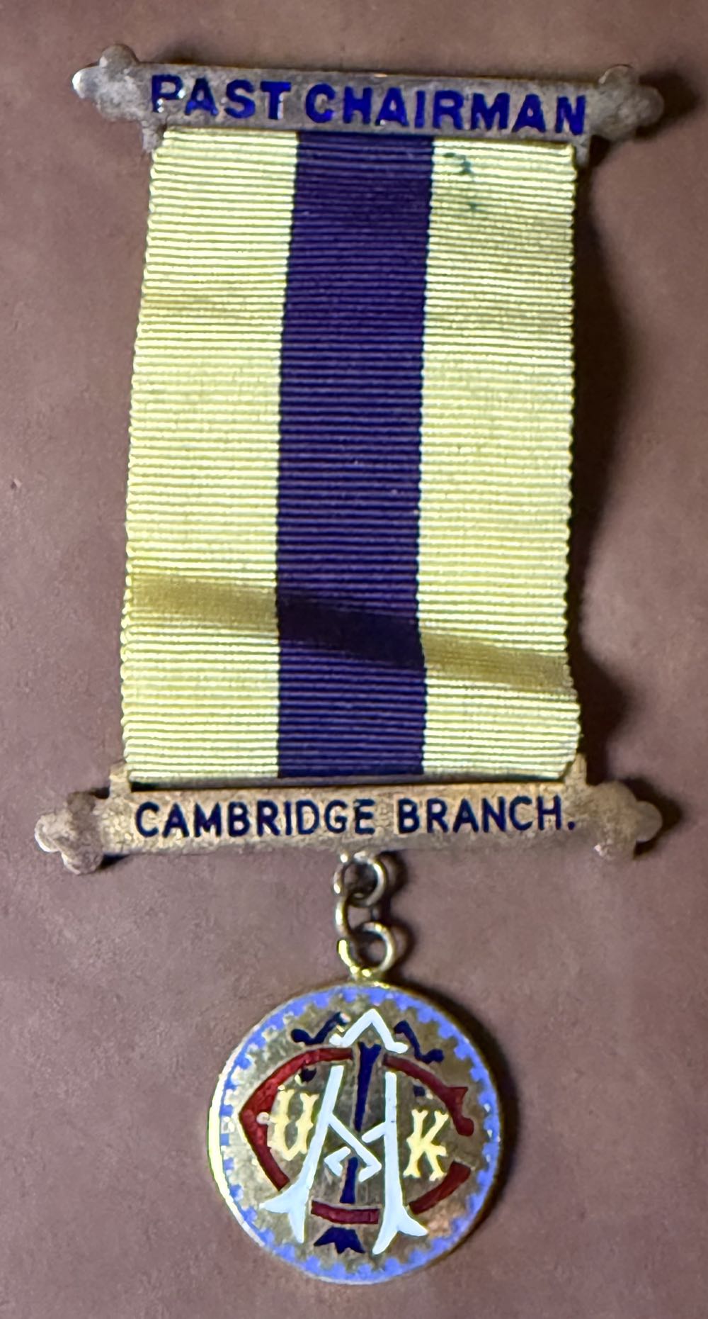 How To Train Your Dragon: Mystery Dragon Pin 1