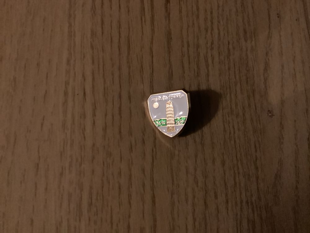 Pisa-La Torre White Shield With Tower Of Pisa And Green Foliage - City pin collectible - Main Image 2