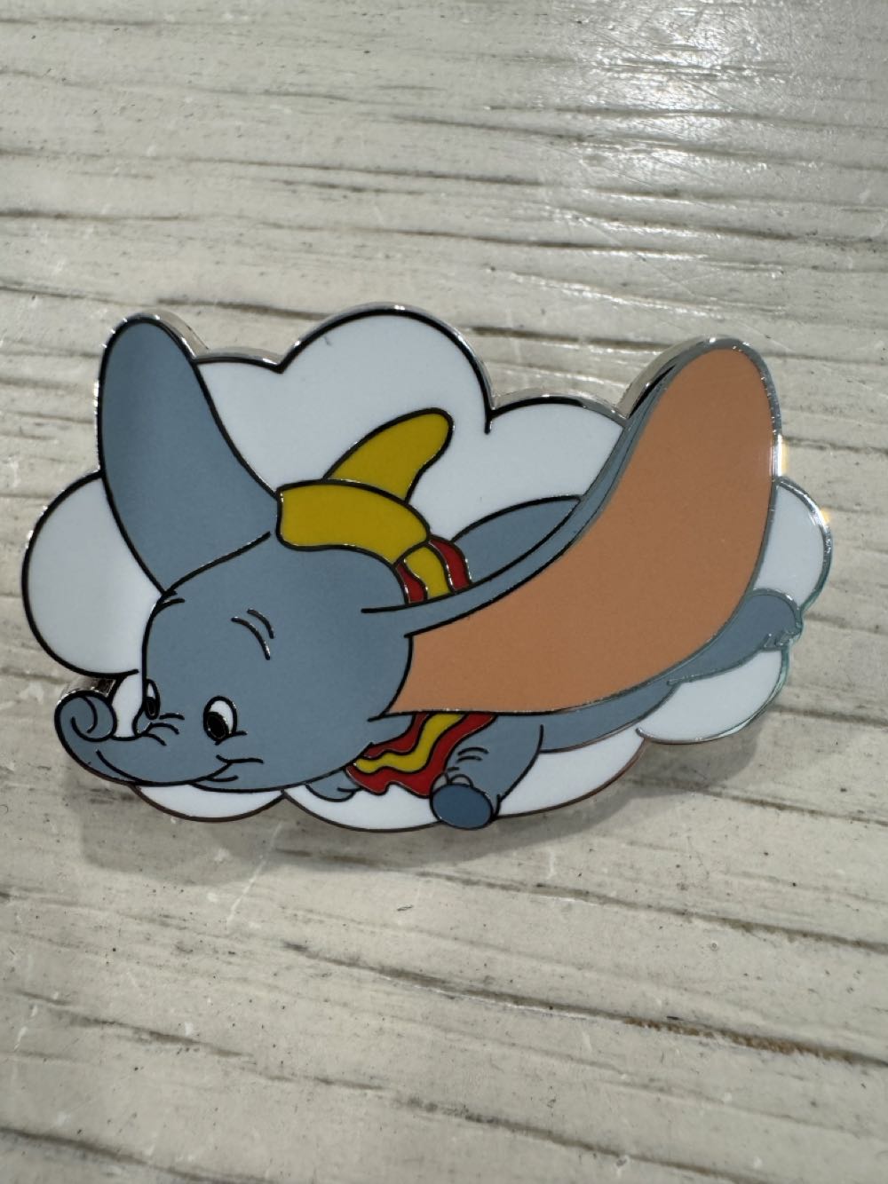 National Union of Mineworkers - Royston Drift Branch Women Against Pit Closures