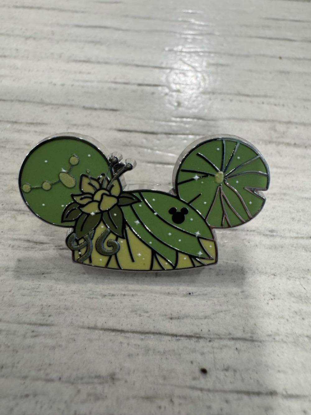 National Union of Mineworkers - North Staffordshire Miners Wives Action Group