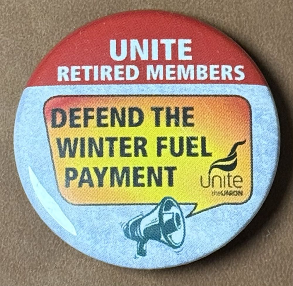 Red Cross Volunteer Pin