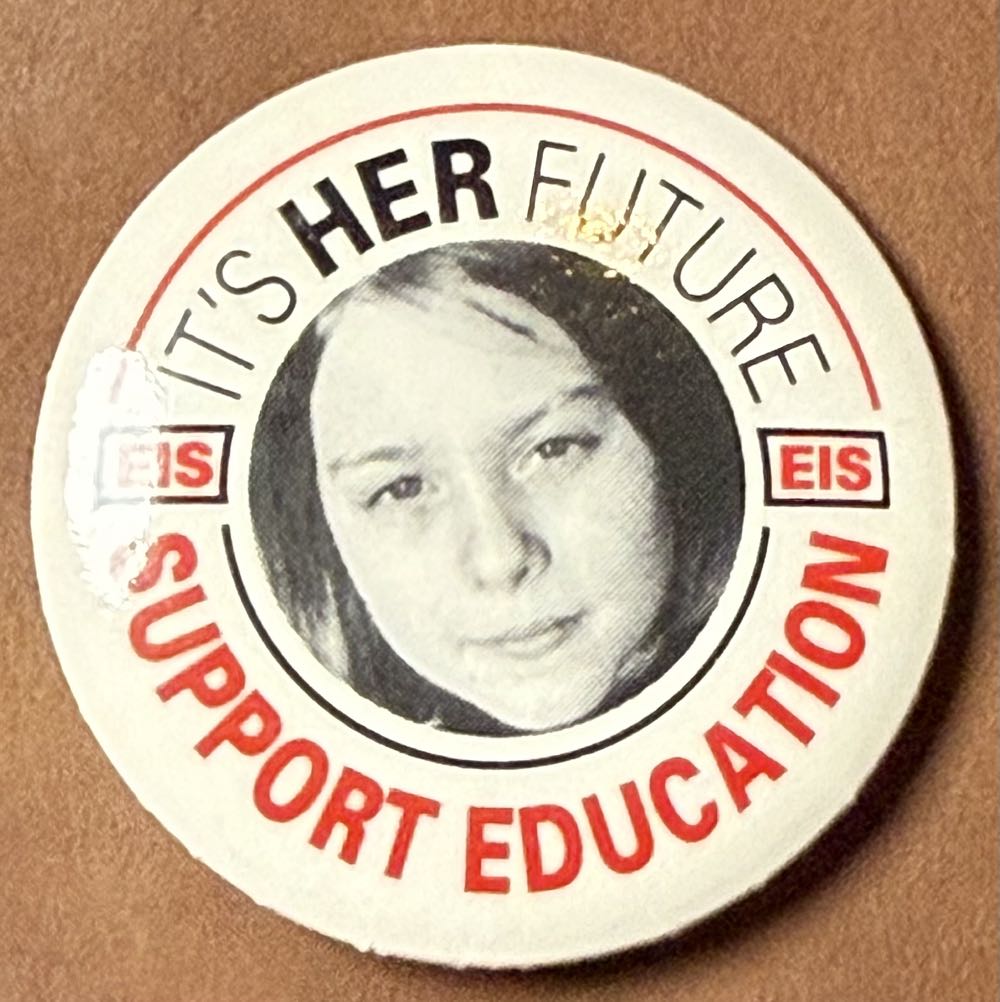 Briddy The Protector