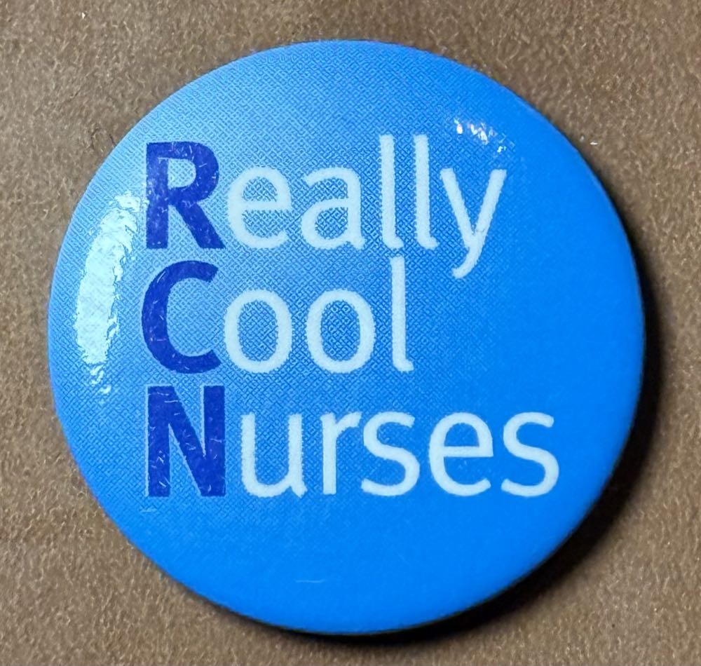 DCL Disney Treasure, Spinning Pin