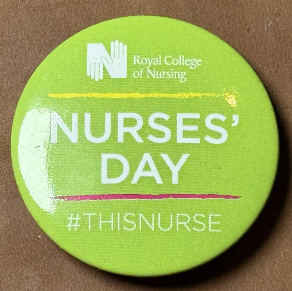 2010 - Orange Bird With Mickey Ears Hat