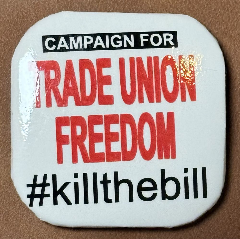 Piglet In A Tree, Loungefly Mystery Pin