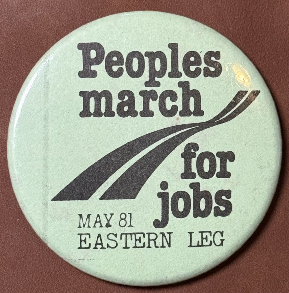 Hyacinth Hippo Ballerina Pin