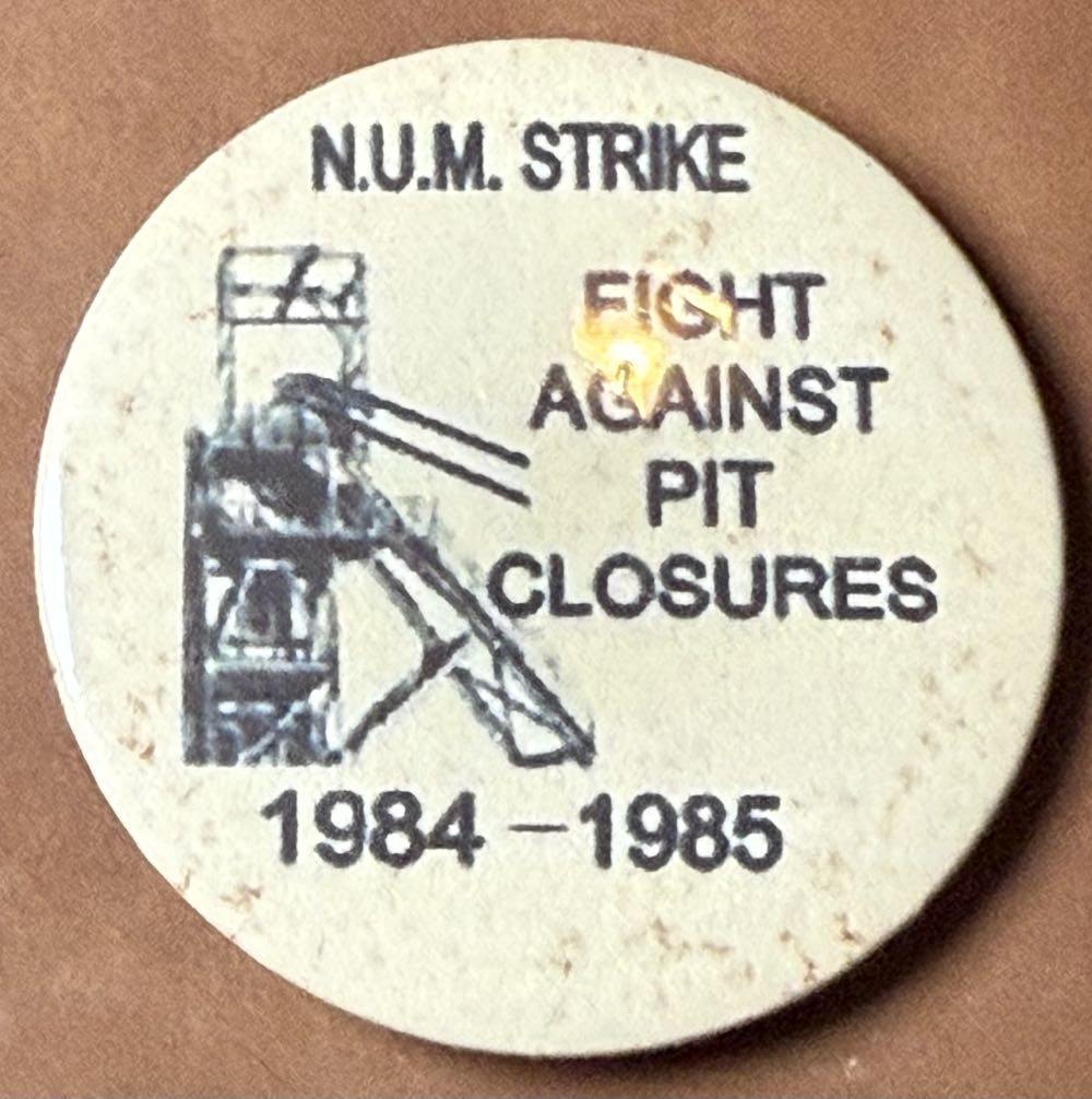 Black Cats Book Cover