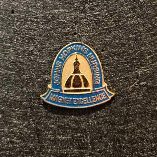 DIS - Quasimodo and Bird - Hunchback of Notre Dame