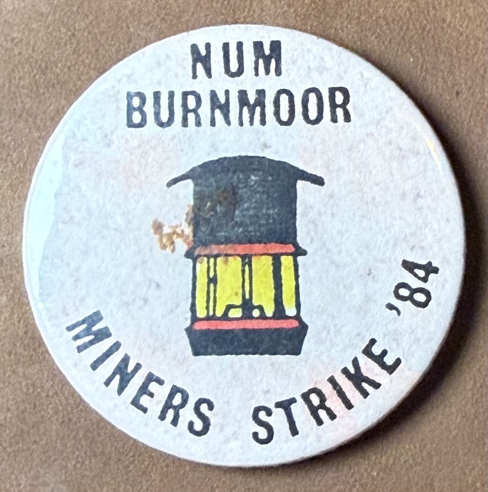 Strike Gently - The Future Sucks