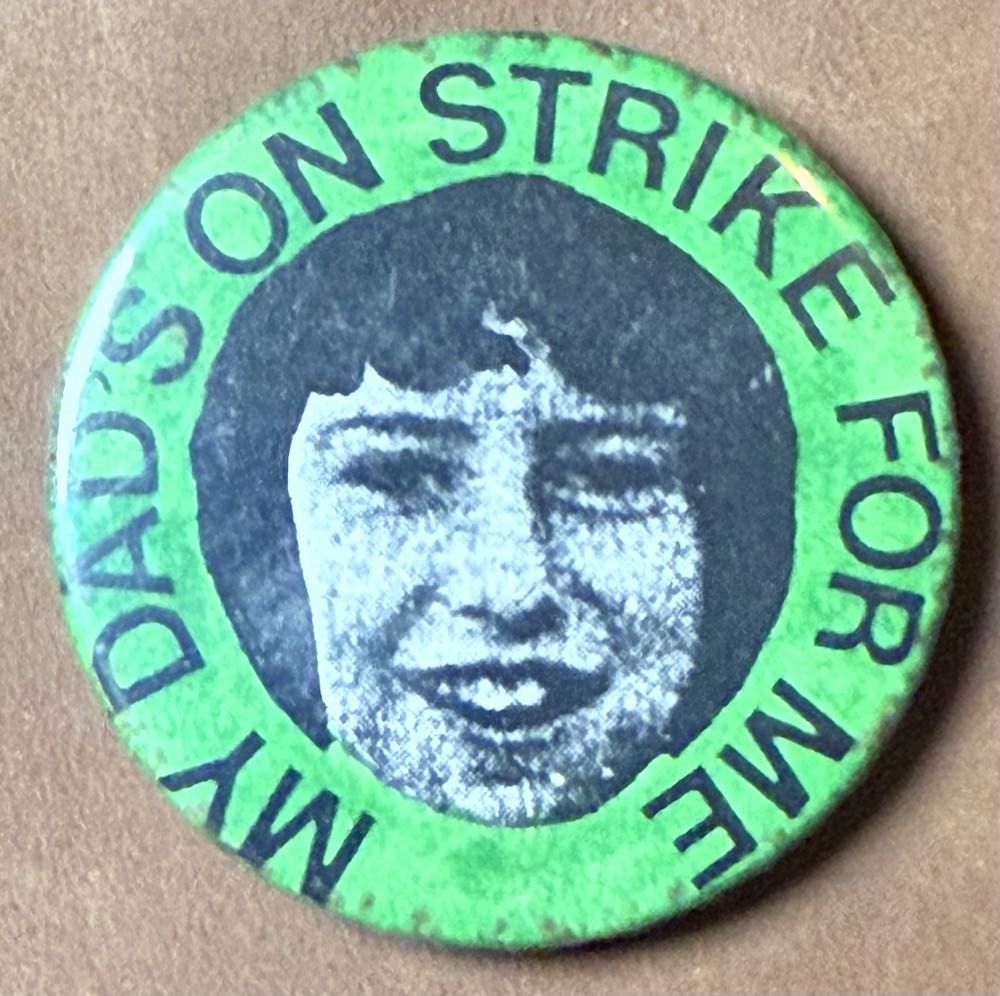 Pirate Mickey - Parrot on Arm