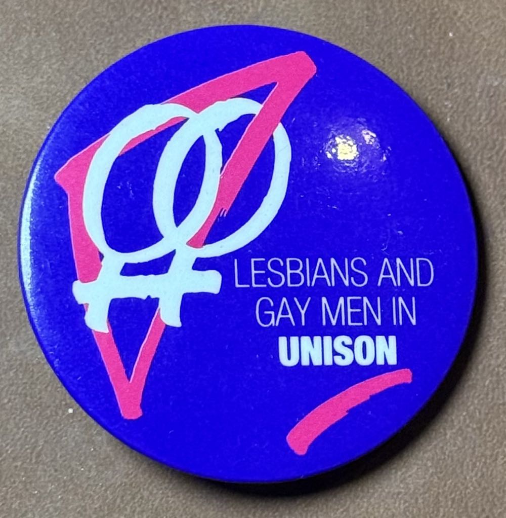 Ear Headbands, Hidden Disney, Yzma