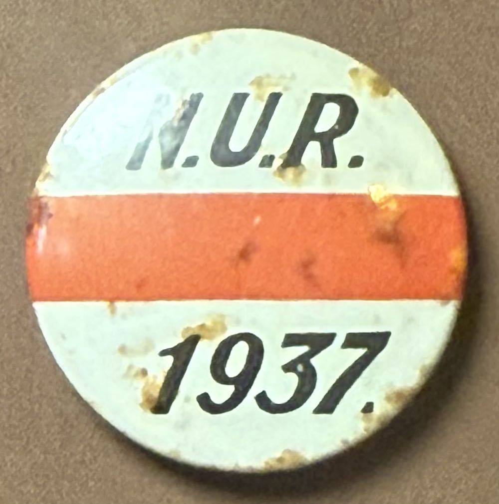 Chincoteague Island: Pony