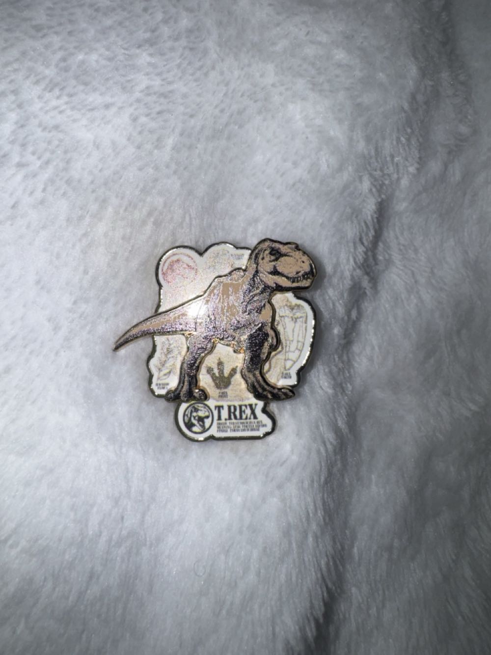 People’s March For Jobs - Midlands Campaign September 1982